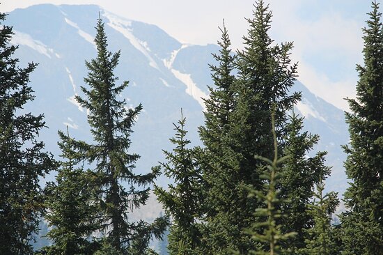 Nacionalni park Yoho