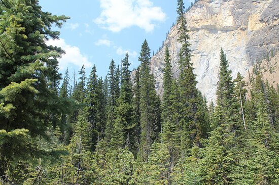 Nacionalni park Yoho