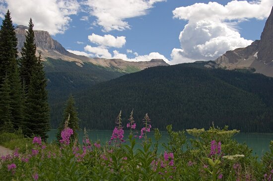 Nacionalni park Yoho