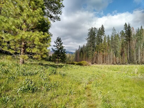 Yosemite National Park