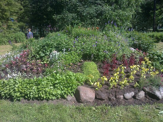 Зеленогорский парк культуры и отдыха