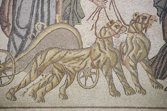 Zeugma Mosaic Museum