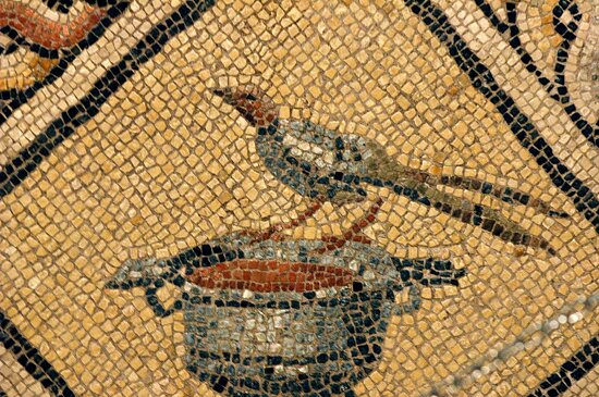 Zeugma Mosaic Museum