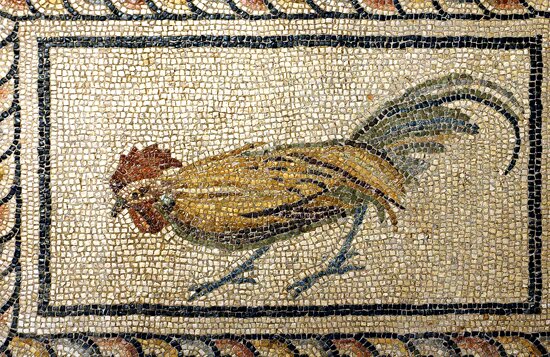 Zeugma Mosaic Museum