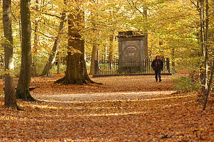 Autumn in Haarlemmerhout