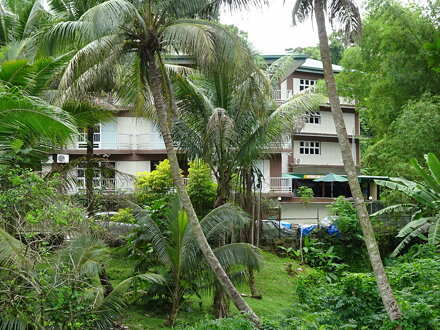 Apartments Behind Palms