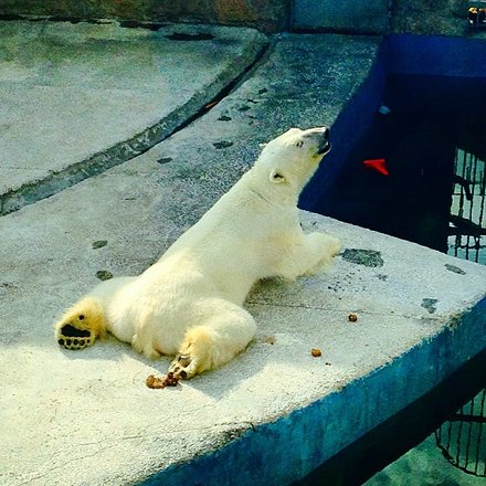 Kotib ish joyida jinsiy aloqada