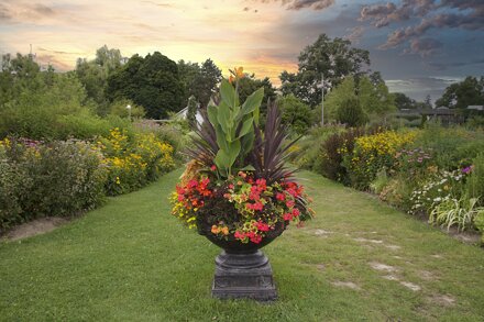 Toronto Ontario ~ Canada ~ Edwards Gardens ~ Botanical Garden