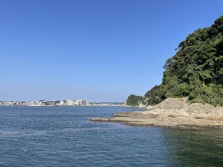 やっぱり船こないorz