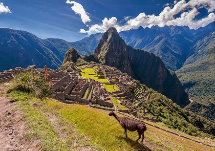 Machu Picchu with Llama