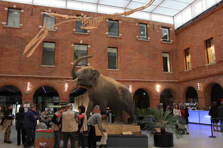 Muséum d&#039;histoire naturelle